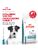 Роял Канин сухой корм HYPOALLERGENIC SMALL DOG Пищевая аллергия 1кг 0153