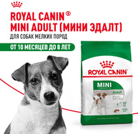 Роял канин сухой корм MINI ADULT, 8 kg для собак мелких пород (6888)