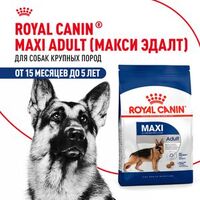 Роял Канин сухой корм MAXI ADULT 4кг 2224